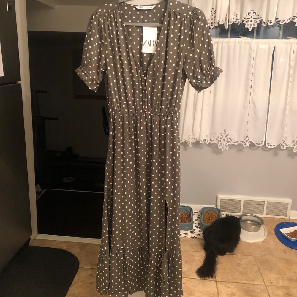 NWT Zara dress, never worn! Cat not included :)